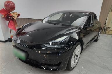 Used Tesla Model 3 2022 Rear-Wheel-Drive Version