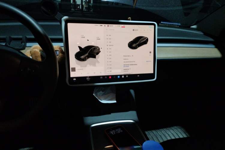 Used Tesla Model 3 2022 Rear-Wheel-Drive Version Audio And AC Panel