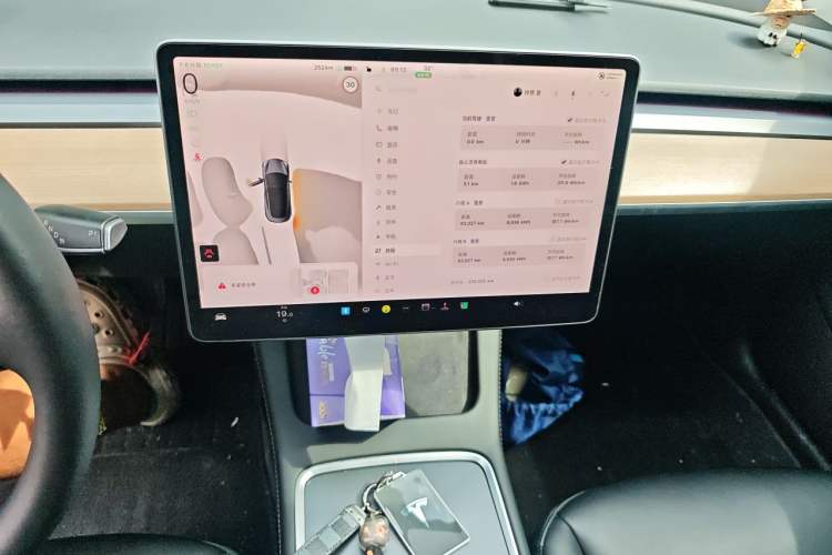 Used Tesla Model 3 2022 Rear-Wheel-Drive Version Audio And AC Panel
