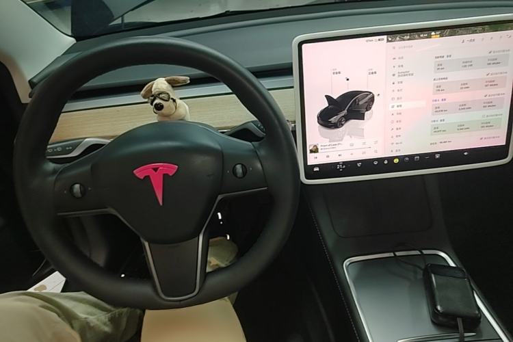Used Tesla Model 3 2022 Rear-Wheel-Drive Version Center Console