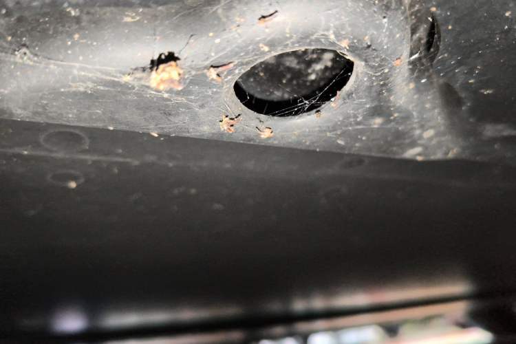 Used Tesla Model 3 2022 Rear-Wheel-Drive Version Chassis Rear
