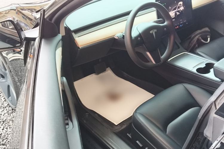 Used Tesla Model 3 2022 Rear-Wheel-Drive Version Driver Seat