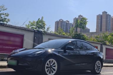 Used Tesla Model 3 2022 Rear-Wheel-Drive Version