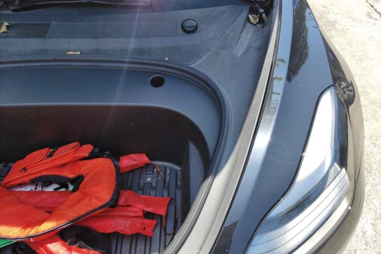 Used Tesla Model 3 2022 Performance High-Performance All-Wheel-Drive Version Engine Bay Left