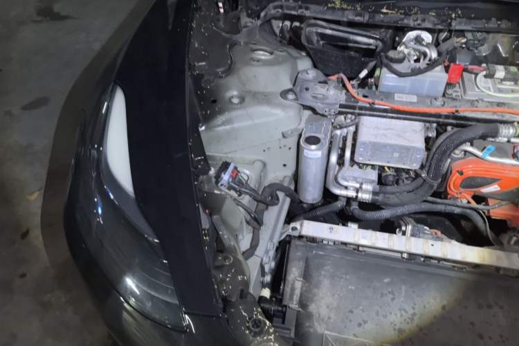 Used Tesla Model 3 2022 Rear-Wheel-Drive Version Engine Bay Right