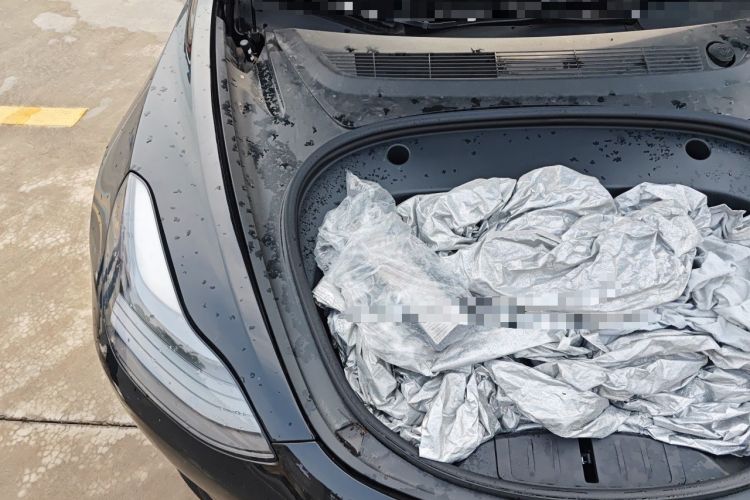 Used Tesla Model 3 2022 Rear-Wheel-Drive Version Engine Bay Right