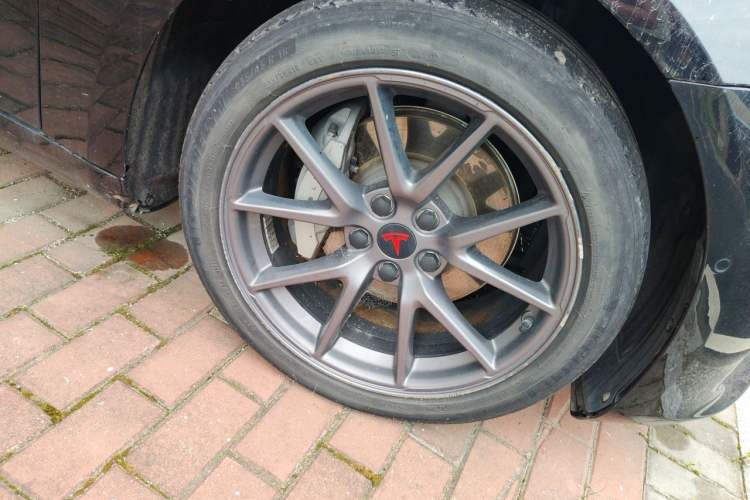 Used Tesla Model 3 2022 Rear-Wheel-Drive Version Exterior 1
