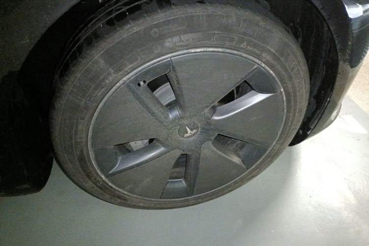 Used Tesla Model 3 2022 Rear-Wheel-Drive Version Exterior 1