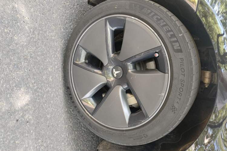 Used Tesla Model 3 2022 Rear-Wheel-Drive Version Exterior 1