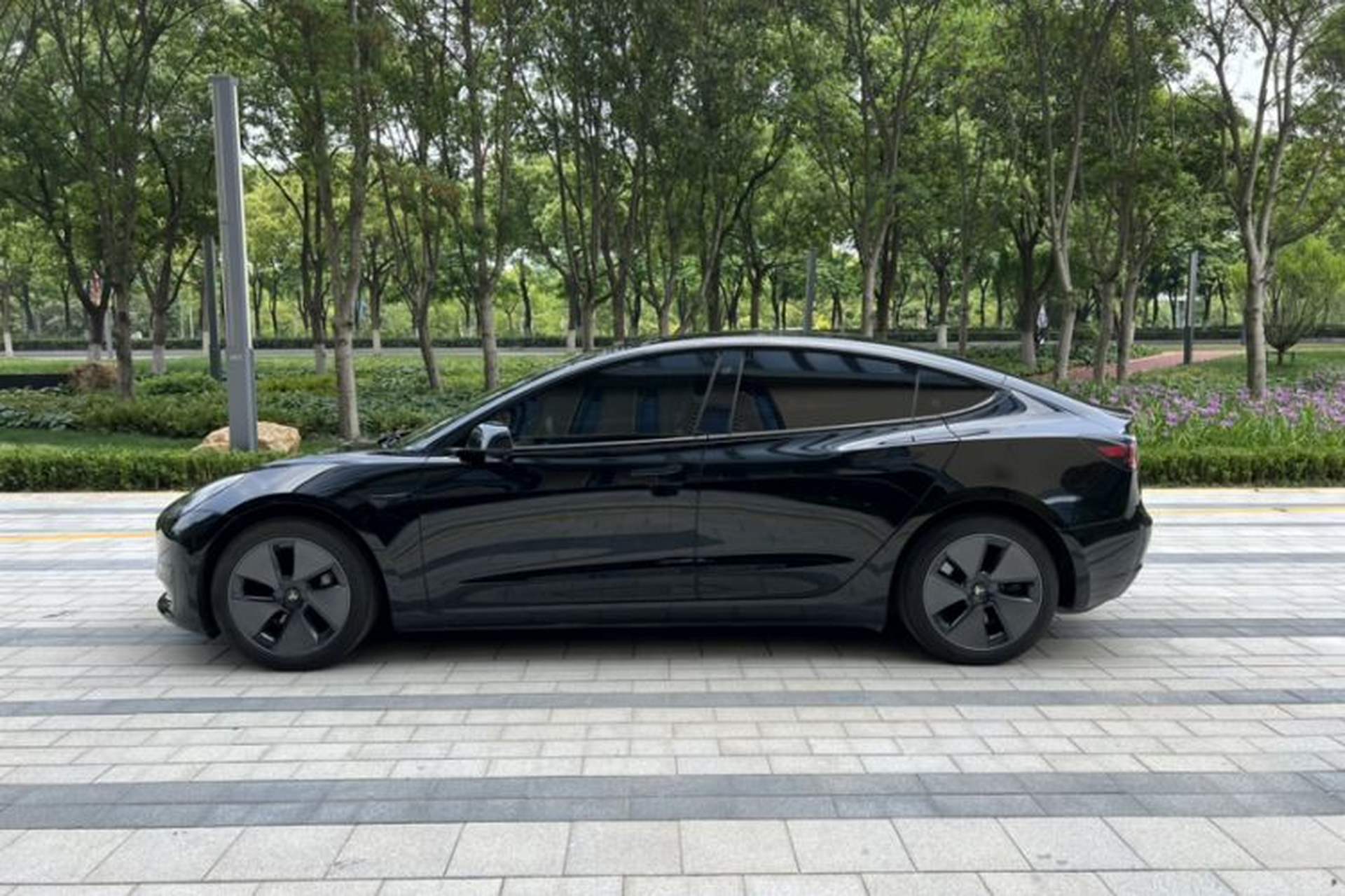 Used Tesla Model 3 2022 Rear-Wheel-Drive Version Exterior 1