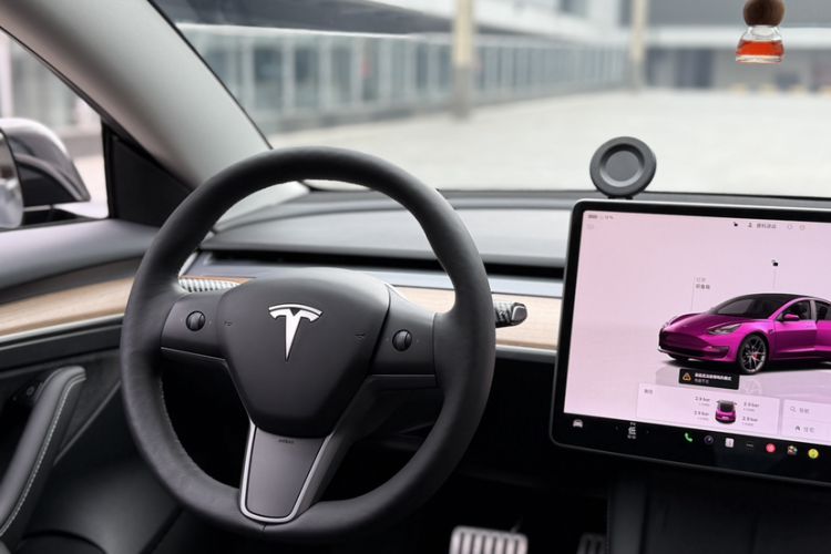 Used Tesla Model 3 2022 Performance High-Performance All-Wheel-Drive Version Exterior 1