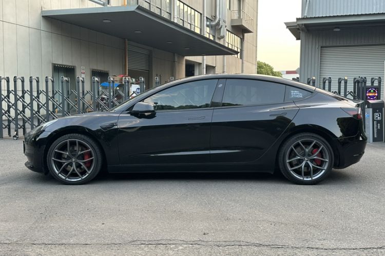 Used Tesla Model 3 2022 Performance High-Performance All-Wheel-Drive Version Exterior 11