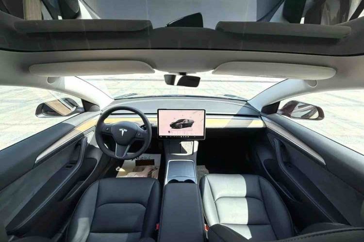 Used Tesla Model 3 2022 Rear-Wheel-Drive Version Exterior 12