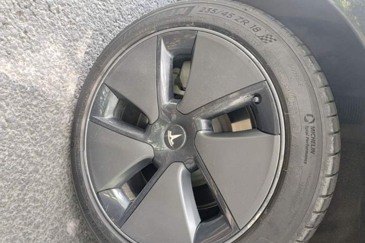 Used Tesla Model 3 2022 Rear-Wheel-Drive Version Exterior 2