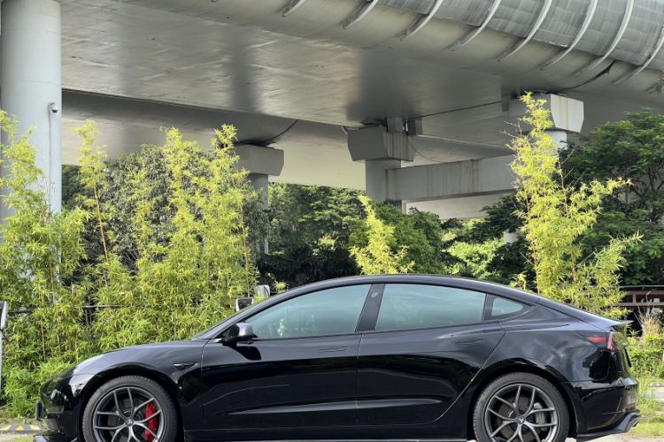 Used Tesla Model 3 2022 Performance High-Performance All-Wheel-Drive Version Exterior 2