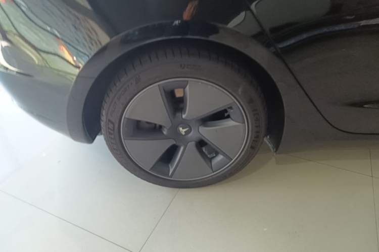 Used Tesla Model 3 2022 Rear-Wheel-Drive Version Exterior 2
