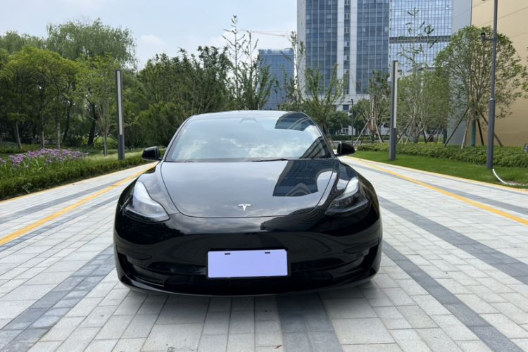 Used Tesla Model 3 2022 Rear-Wheel-Drive Version Exterior 2