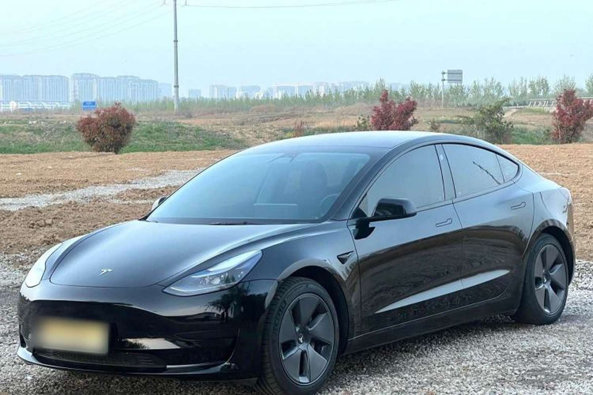 Used Tesla Model 3 2022 Rear-Wheel-Drive Version Exterior 3