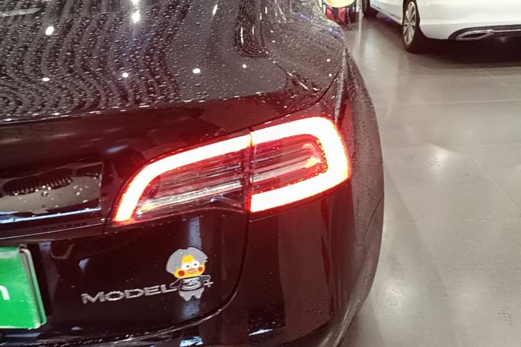 Used Tesla Model 3 2022 Rear-Wheel-Drive Version Exterior 3