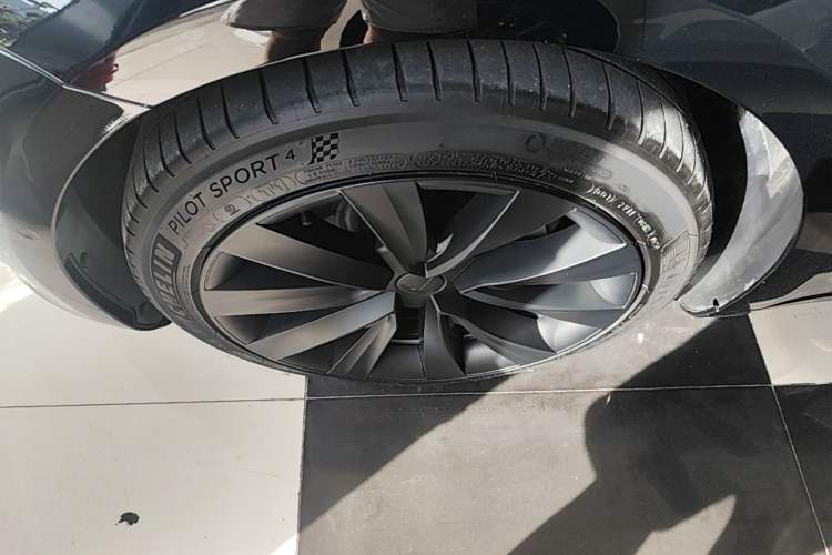 Used Tesla Model 3 2022 Rear-Wheel-Drive Version Exterior 4
