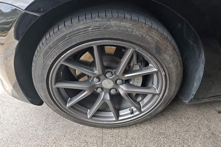 Used Tesla Model 3 2022 Rear-Wheel-Drive Version Exterior 4