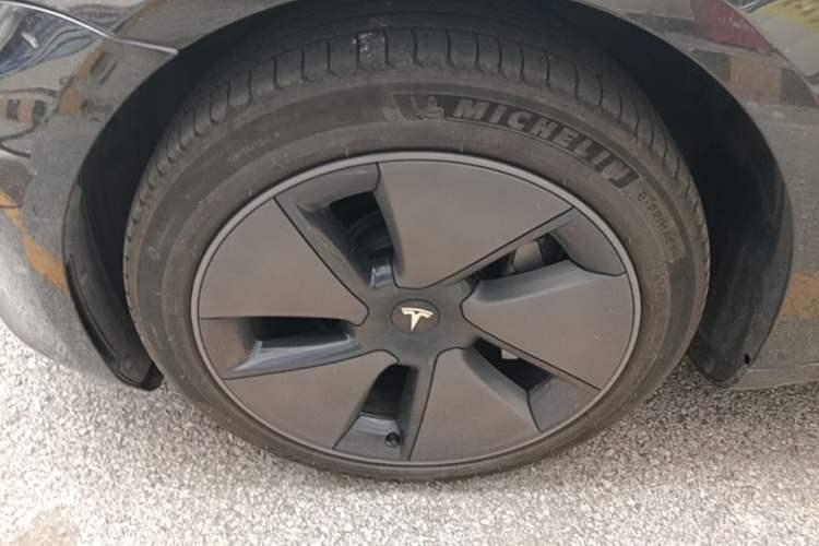 Used Tesla Model 3 2022 Rear-Wheel-Drive Version Exterior 4