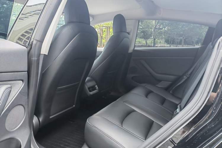 Used Tesla Model 3 2022 Rear-Wheel-Drive Version Exterior 4