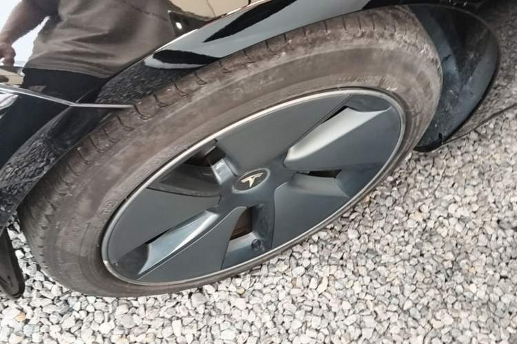 Used Tesla Model 3 2022 Rear-Wheel-Drive Version Exterior 4