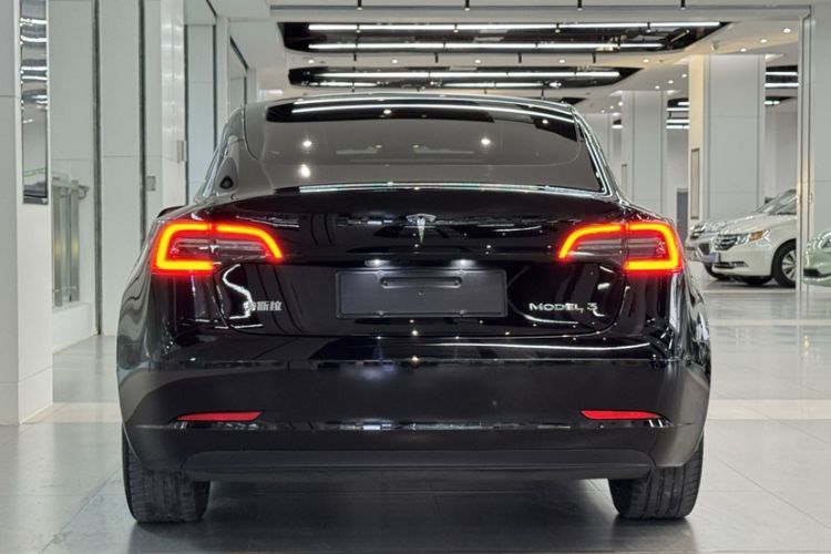 Used Tesla Model 3 2022 Rear-Wheel-Drive Version Exterior 4