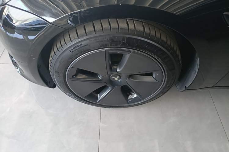 Used Tesla Model 3 2022 Rear-Wheel-Drive Version Exterior 4