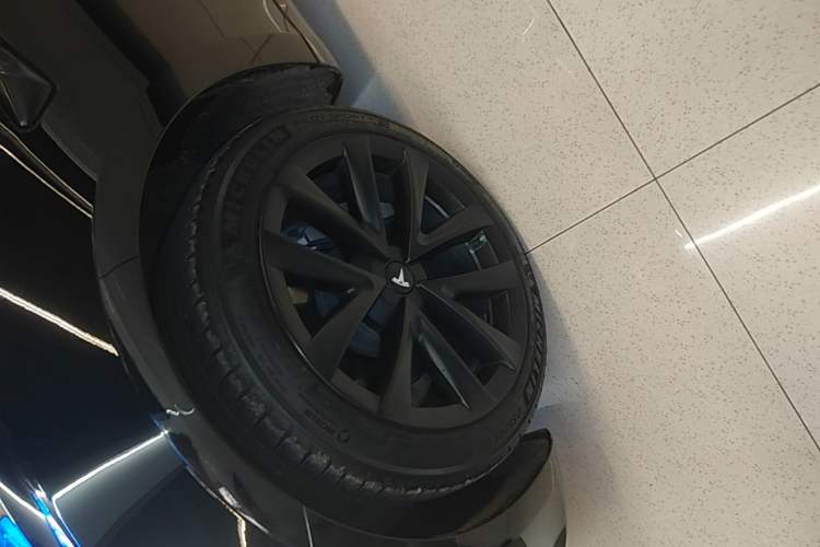 Used Tesla Model 3 2022 Rear-Wheel-Drive Version Exterior 4