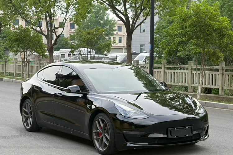 Used Tesla Model 3 2022 Performance High-Performance All-Wheel-Drive Version Exterior 4