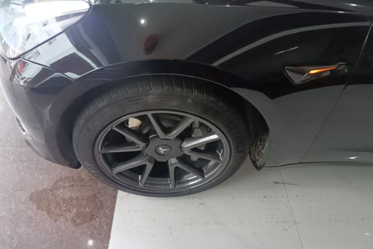 Used Tesla Model 3 2022 Rear-Wheel-Drive Version Exterior 4
