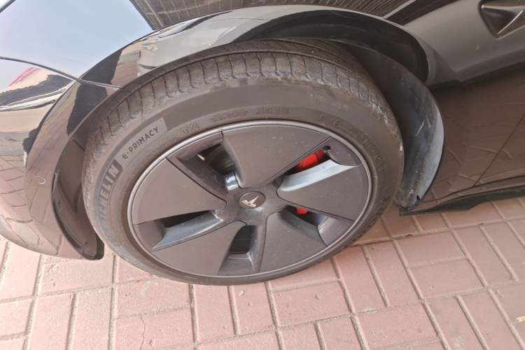 Used Tesla Model 3 2022 Rear-Wheel-Drive Version Exterior 4