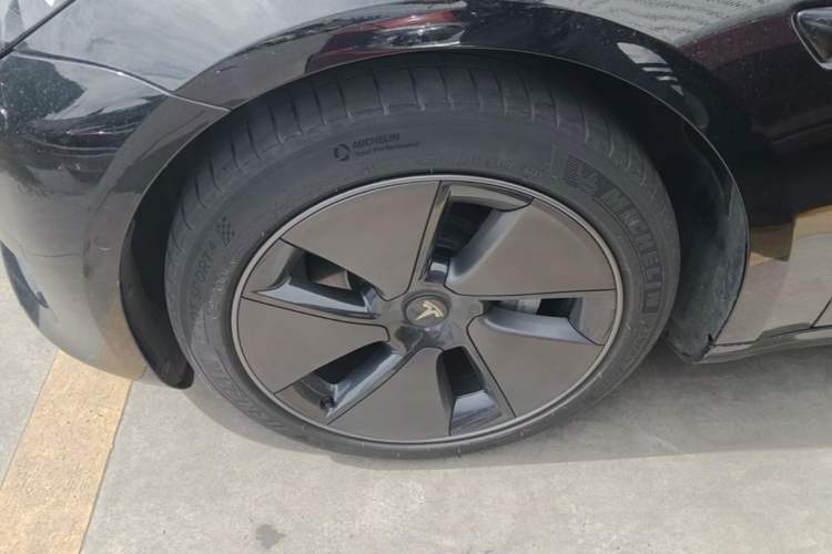 Used Tesla Model 3 2022 Rear-Wheel-Drive Version Exterior 4