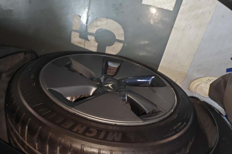 Used Tesla Model 3 2022 Rear-Wheel-Drive Version Exterior 4