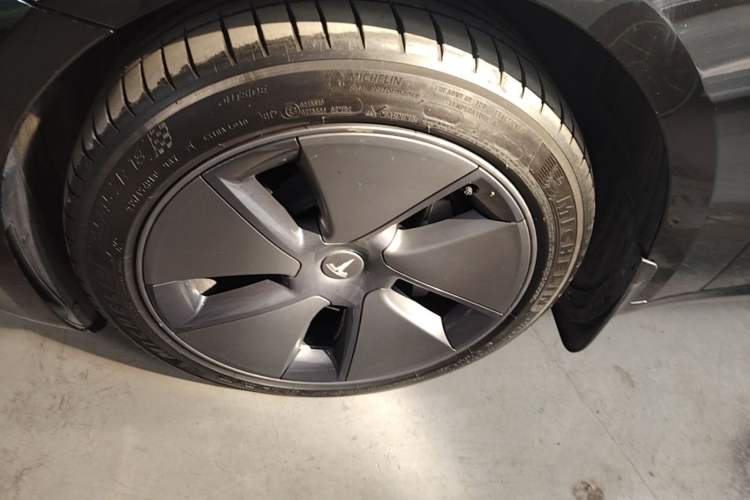Used Tesla Model 3 2022 Rear-Wheel-Drive Version Exterior 4
