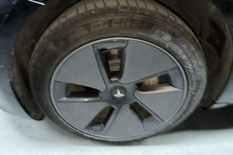 Used Tesla Model 3 2022 Rear-Wheel-Drive Version Exterior 4
