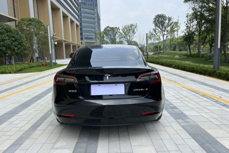 Used Tesla Model 3 2022 Rear-Wheel-Drive Version Exterior 4