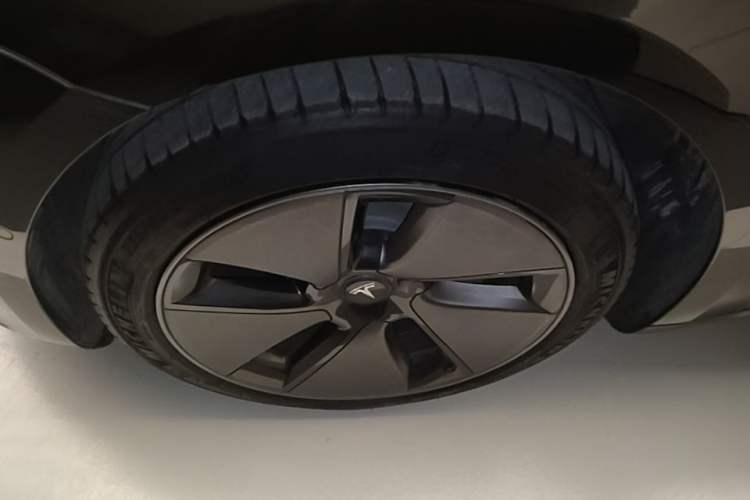 Used Tesla Model 3 2022 Rear-Wheel-Drive Version Exterior 4