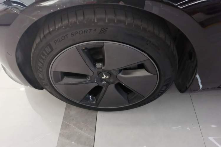 Used Tesla Model 3 2022 Rear-Wheel-Drive Version Exterior 4