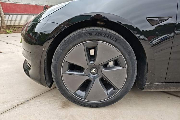 Used Tesla Model 3 2022 Rear-Wheel-Drive Version Exterior 4