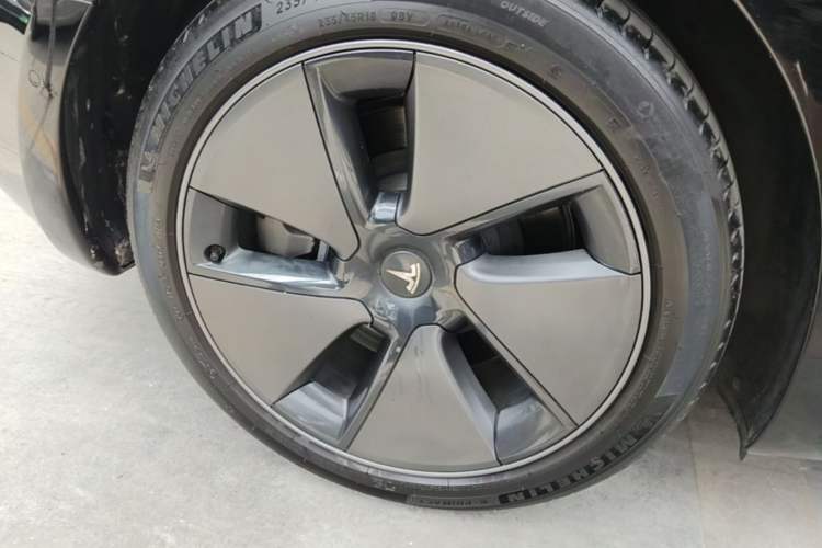 Used Tesla Model 3 2022 Rear-Wheel-Drive Version Exterior 5