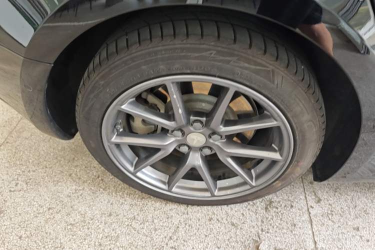 Used Tesla Model 3 2022 Rear-Wheel-Drive Version Exterior 5