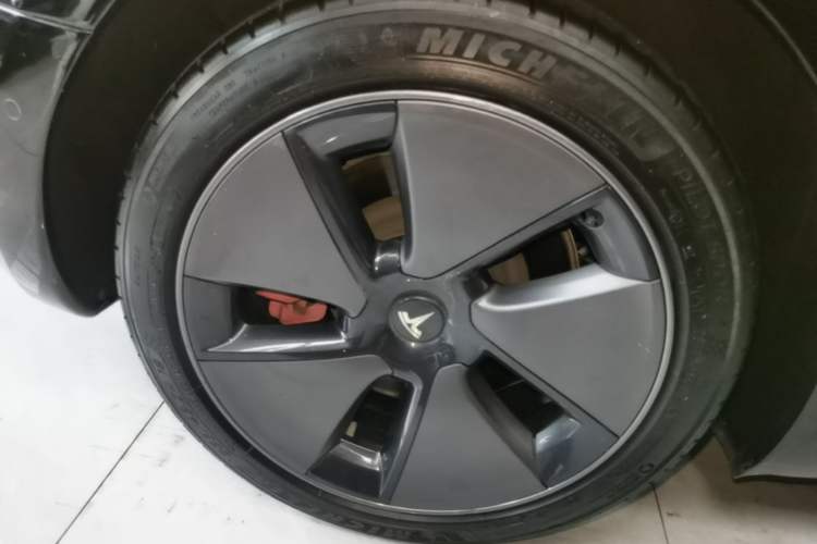 Used Tesla Model 3 2022 Rear-Wheel-Drive Version Exterior 5