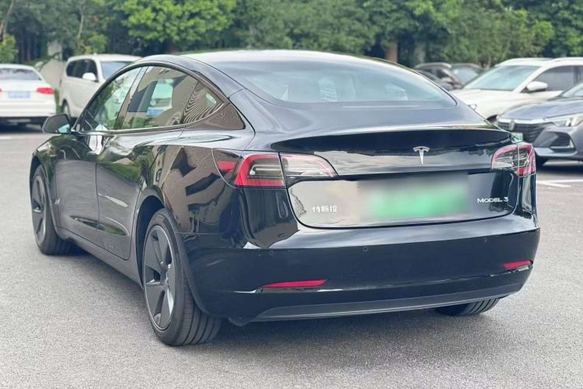 Used Tesla Model 3 2022 Rear-Wheel-Drive Version Exterior 5
