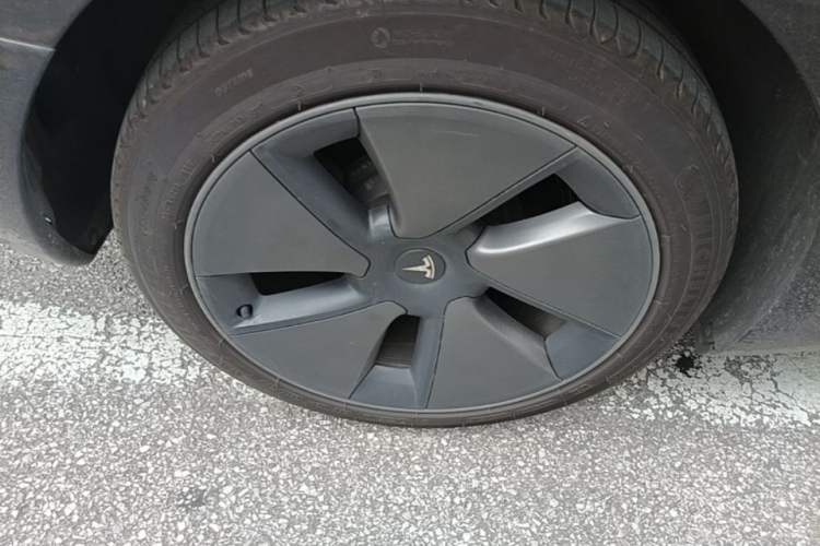 Used Tesla Model 3 2022 Rear-Wheel-Drive Version Exterior 5
