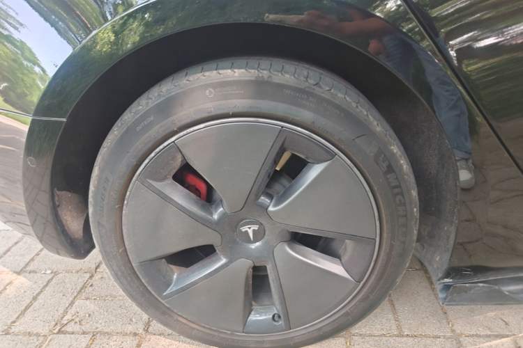 Used Tesla Model 3 2022 Rear-Wheel-Drive Version Exterior 5