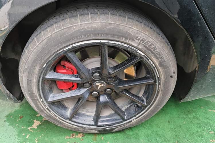 Used Tesla Model 3 2022 Rear-Wheel-Drive Version Exterior 5
