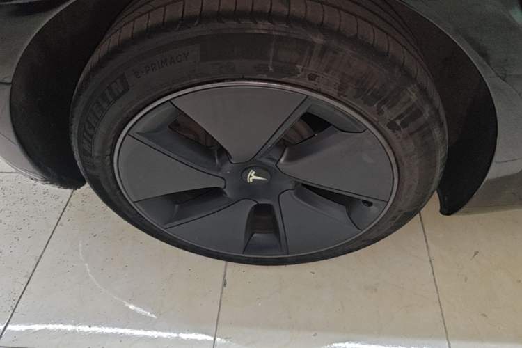 Used Tesla Model 3 2022 Rear-Wheel-Drive Version Exterior 5
